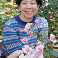  楊美華