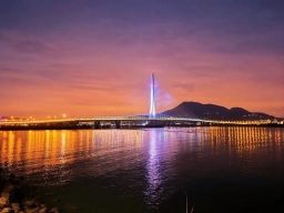 淡夜.webp